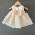 Kids Rose Dress Birthday Children's Formal Dress Princess Dress First Birthday